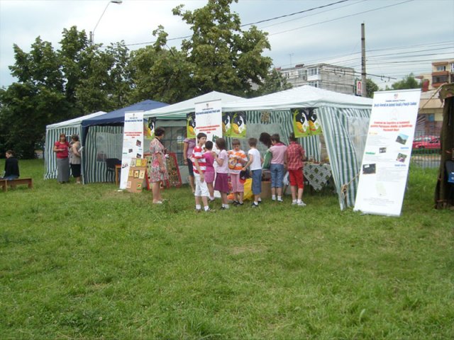 zilele-dgaspc2012-12
