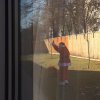 img-20161215-wa0014