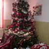 img_20161221_130406