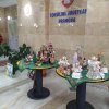 Activitati-luna-decembrie-9