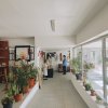 ciapad-ploiesti-4