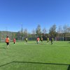 cupatoamneilaminifotbal11