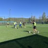 cupatoamneilaminifotbal12