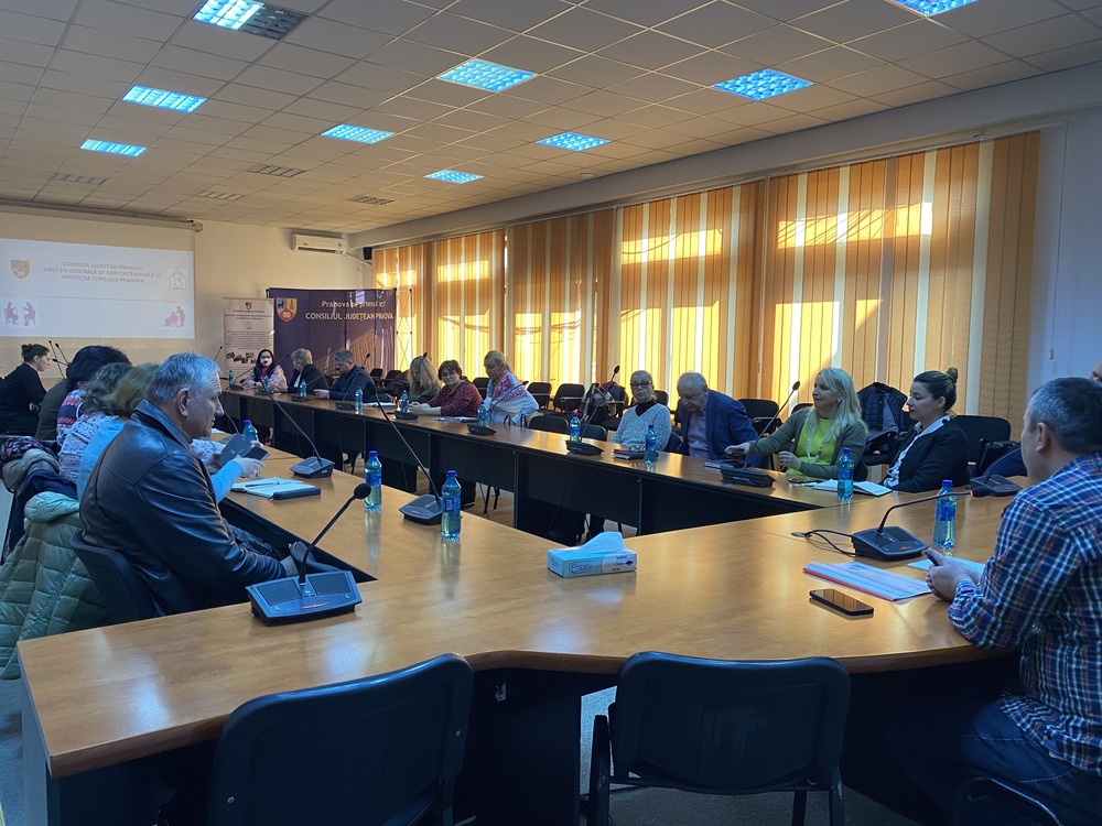 sedinta Comitet accelerare dezinstitutionalizare2